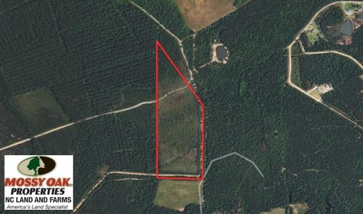 Photo of UNDER CONTRACT!  28 Acres of Hunting and Timber Land for Sale in Duplin County NC!