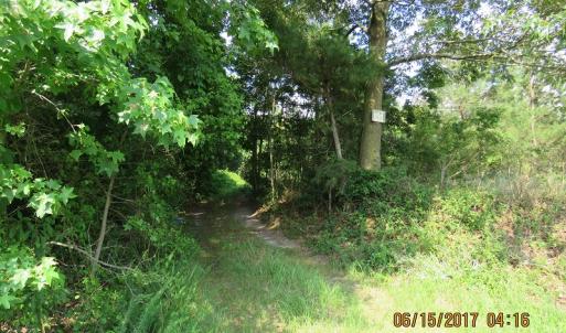 Photo of SOLD!  38 Acres of Hunting and Timber Land for Sale in Duplin County NC!