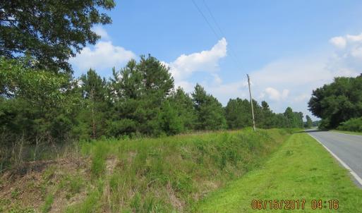 Photo of SOLD!  38 Acres of Hunting and Timber Land for Sale in Duplin County NC!