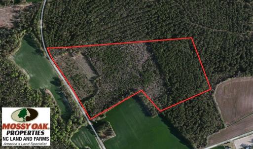 Photo of SOLD!  38 Acres of Hunting and Timber Land for Sale in Duplin County NC!