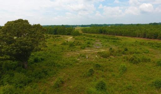 Photo of SOLD!  10.72 Acres of Recreational and Residential Property For Sale In Wayne County NC!