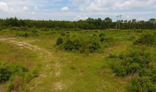 Photo of SOLD!  10.72 Acres of Recreational and Residential Property For Sale In Wayne County NC!