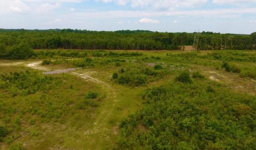 Photo of SOLD!  10.72 Acres of Recreational and Residential Property For Sale In Wayne County NC!