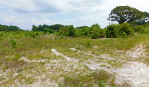 Photo of SOLD!  10.72 Acres of Recreational and Residential Property For Sale In Wayne County NC!