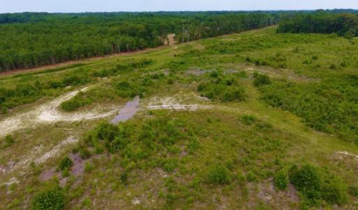 Photo of SOLD!  10.72 Acres of Recreational and Residential Property For Sale In Wayne County NC!