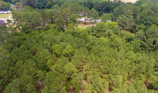 Photo of UNDER CONTRACT!  8.56 Acres of Residential and Recreational Land For Sale In Wayne County NC!