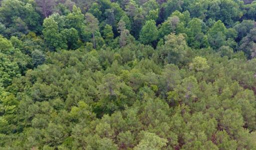 Photo of UNDER CONTRACT!  8.56 Acres of Residential and Recreational Land For Sale In Wayne County NC!
