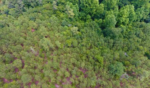 Photo of UNDER CONTRACT!  8.56 Acres of Residential and Recreational Land For Sale In Wayne County NC!