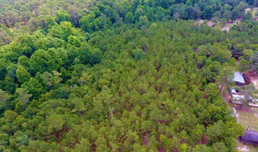 Photo of UNDER CONTRACT!  8.56 Acres of Residential and Recreational Land For Sale In Wayne County NC!