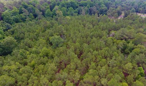 Photo of UNDER CONTRACT!  8.56 Acres of Residential and Recreational Land For Sale In Wayne County NC!