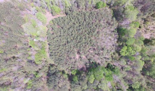 Photo of SOLD!  6 Acres of Residential Land For Sale in Suffolk VA!