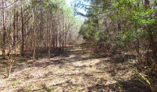 Photo of SOLD!  6 Acres of Residential Land For Sale in Suffolk VA!