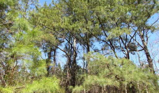 Photo of SOLD!  6 Acres of Residential Land For Sale in Suffolk VA!