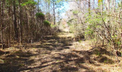 Photo of SOLD!  6 Acres of Residential Land For Sale in Suffolk VA!
