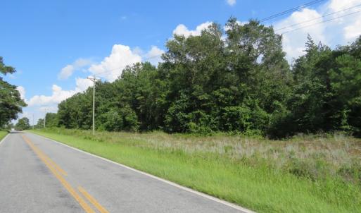 Photo of UNDER CONTRACT!  101 Acres of Timber Land For Sale in Sampson County NC!