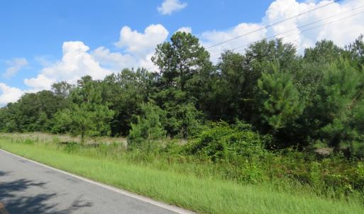 Photo of UNDER CONTRACT!  101 Acres of Timber Land For Sale in Sampson County NC!