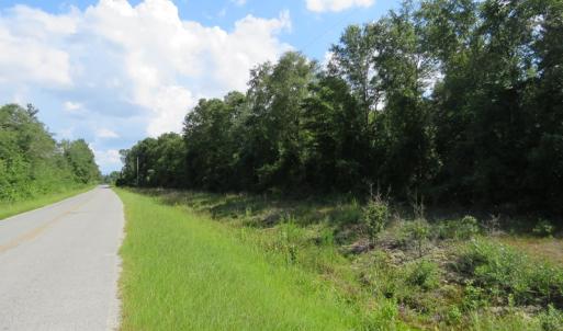 Photo of UNDER CONTRACT!  101 Acres of Timber Land For Sale in Sampson County NC!