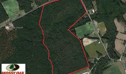 Photo of UNDER CONTRACT!  101 Acres of Timber Land For Sale in Sampson County NC!