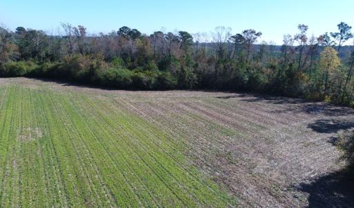 Photo of UNDER CONTRACT!  23 Acres of Farm and Timber Land For Sale in Sampson County NC!