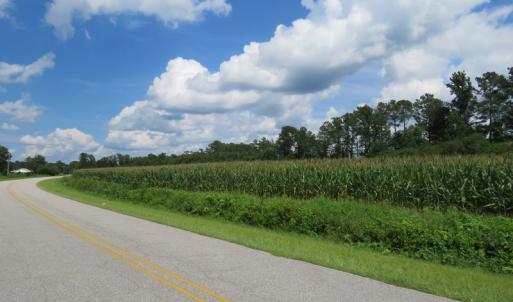 Photo of UNDER CONTRACT!  23 Acres of Farm and Timber Land For Sale in Sampson County NC!