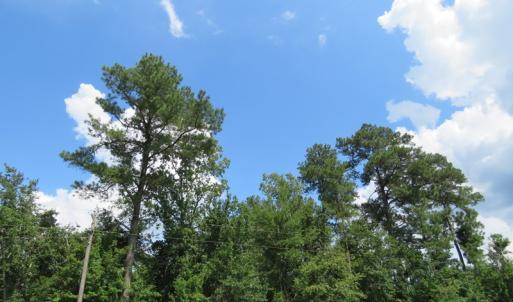 Photo of UNDER CONTRACT!  23 Acres of Farm and Timber Land For Sale in Sampson County NC!