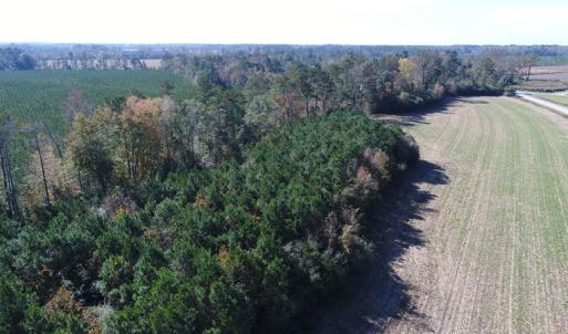 Photo of UNDER CONTRACT!  23 Acres of Farm and Timber Land For Sale in Sampson County NC!