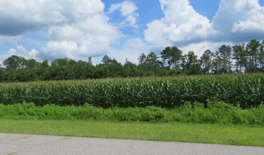 Photo of UNDER CONTRACT!  23 Acres of Farm and Timber Land For Sale in Sampson County NC!