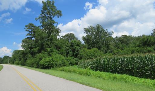 Photo of UNDER CONTRACT!  23 Acres of Farm and Timber Land For Sale in Sampson County NC!