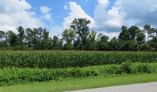 Photo of UNDER CONTRACT!  23 Acres of Farm and Timber Land For Sale in Sampson County NC!