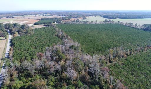 Photo of UNDER CONTRACT!  23 Acres of Farm and Timber Land For Sale in Sampson County NC!
