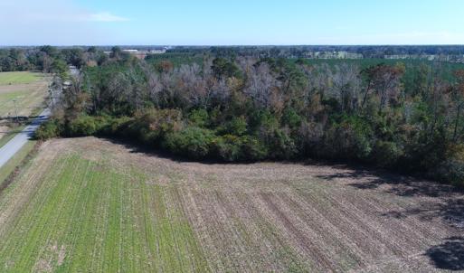 Photo of UNDER CONTRACT!  23 Acres of Farm and Timber Land For Sale in Sampson County NC!