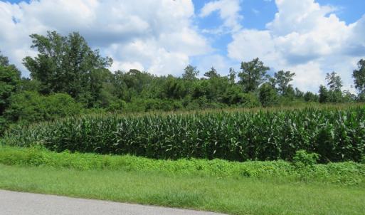 Photo of UNDER CONTRACT!  23 Acres of Farm and Timber Land For Sale in Sampson County NC!