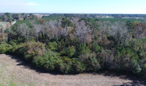 Photo of UNDER CONTRACT!  23 Acres of Farm and Timber Land For Sale in Sampson County NC!