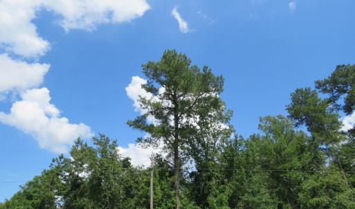 Photo of UNDER CONTRACT!  23 Acres of Farm and Timber Land For Sale in Sampson County NC!