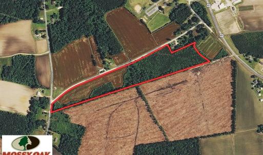 Photo of UNDER CONTRACT!  23 Acres of Farm and Timber Land For Sale in Sampson County NC!