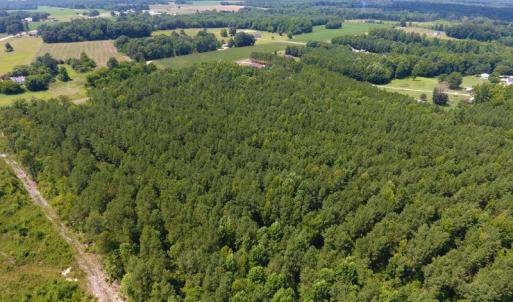 Photo of SOLD!  30 Acres of Hunting and Timber Land For Sale in Warren County NC!