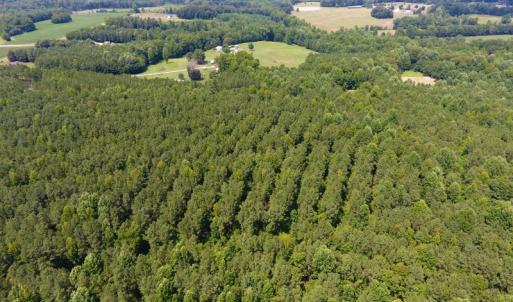 Photo of SOLD!  30 Acres of Hunting and Timber Land For Sale in Warren County NC!