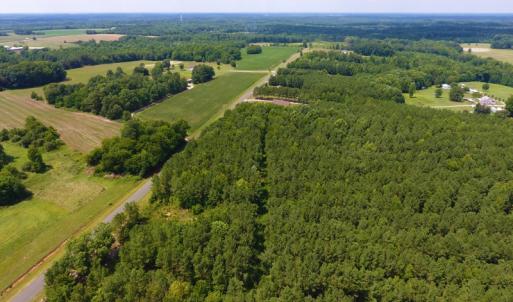 Photo of SOLD!  30 Acres of Hunting and Timber Land For Sale in Warren County NC!