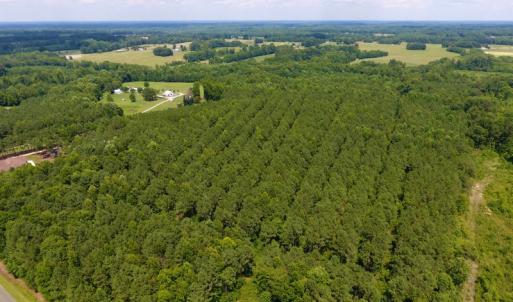 Photo of SOLD!  30 Acres of Hunting and Timber Land For Sale in Warren County NC!