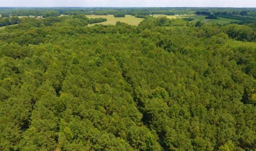 Photo of SOLD!  30 Acres of Hunting and Timber Land For Sale in Warren County NC!