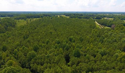 Photo of SOLD!  30 Acres of Hunting and Timber Land For Sale in Warren County NC!