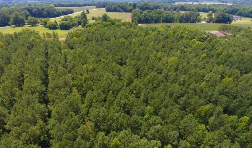 Photo of SOLD!  30 Acres of Hunting and Timber Land For Sale in Warren County NC!