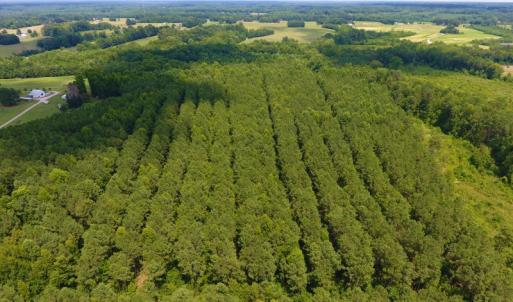 Photo of SOLD!  30 Acres of Hunting and Timber Land For Sale in Warren County NC!