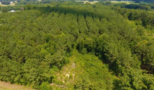 Photo of SOLD!  30 Acres of Hunting and Timber Land For Sale in Warren County NC!