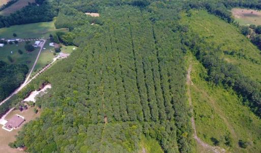 Photo of SOLD!  30 Acres of Hunting and Timber Land For Sale in Warren County NC!