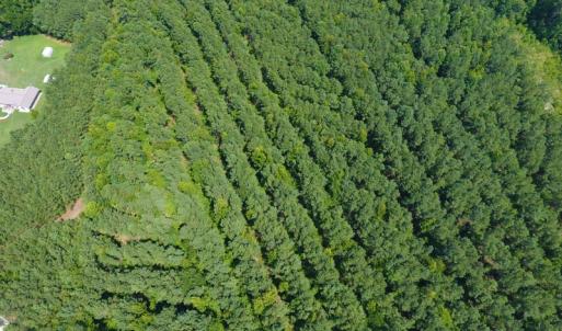 Photo of SOLD!  30 Acres of Hunting and Timber Land For Sale in Warren County NC!
