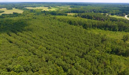 Photo of SOLD!  30 Acres of Hunting and Timber Land For Sale in Warren County NC!