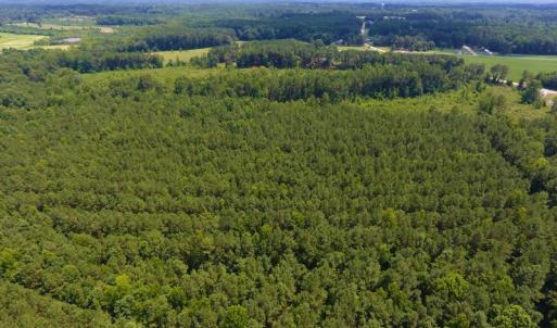 Photo of SOLD!  30 Acres of Hunting and Timber Land For Sale in Warren County NC!