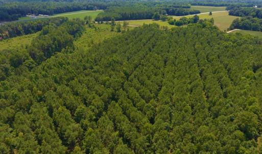 Photo of SOLD!  30 Acres of Hunting and Timber Land For Sale in Warren County NC!