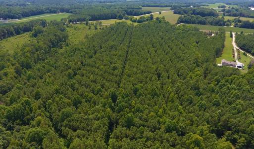Photo of SOLD!  30 Acres of Hunting and Timber Land For Sale in Warren County NC!